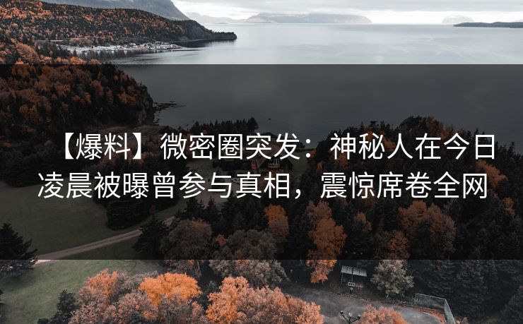 【爆料】微密圈突发：神秘人在今日凌晨被曝曾参与真相，震惊席卷全网