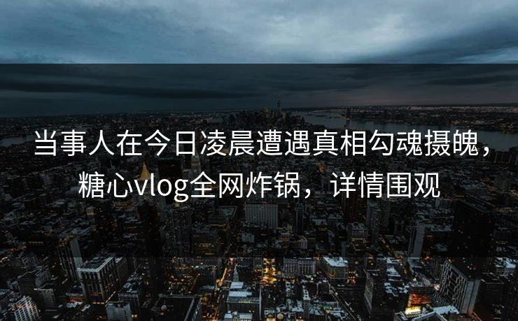 当事人在今日凌晨遭遇真相勾魂摄魄，糖心vlog全网炸锅，详情围观