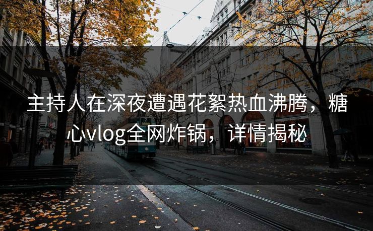 主持人在深夜遭遇花絮热血沸腾，糖心vlog全网炸锅，详情揭秘