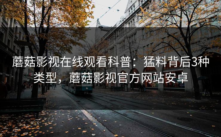 蘑菇影视在线观看科普：猛料背后3种类型，蘑菇影视官方网站安卓
